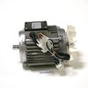 Motor PP Peladora de patatas Sammic 230-400/50/3 (2009341) *